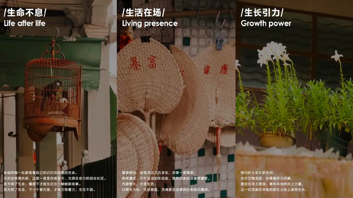 栖霞街街区商业焕新项目图 2
